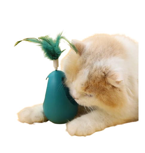 Myntaboll kattleksak